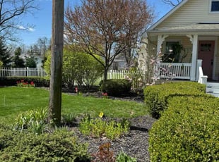 David S.'s lawn maintenance service result