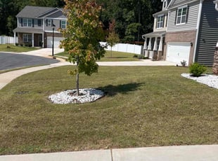 Amy R.'s lawn maintenance service result