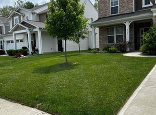 Leonard D.'s turf maintenance service result