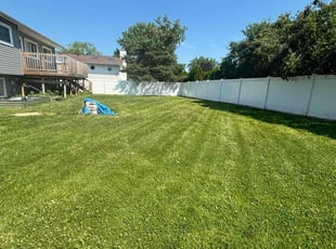 Tim M.'s grass cutting service result