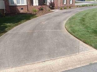 Lynn A.'s grass cutting service result