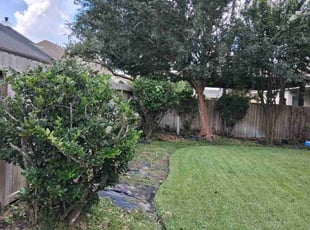 Rosalba B.'s Bush Trimming service result