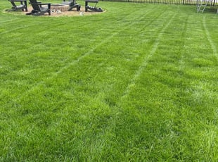 Michael H.'s lawn service service result