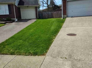 Olivia S.'s lawn care service result