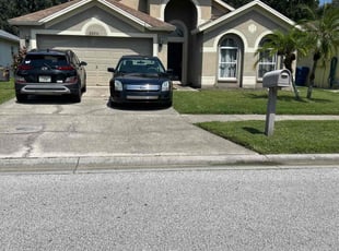 Corine C.'s turf care service result