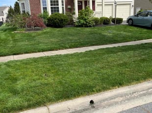 Debra O.'s lawn care services service result