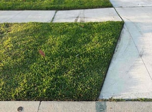 Daniel C.'s lawn service service result
