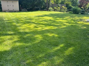 Erik M.'s gardening service service result