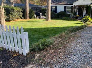 Ramell L.'s grass maintenance service result