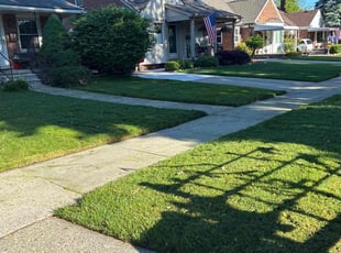 Pamela H.'s turf maintenance service result