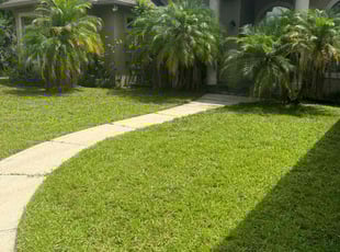 Aurelia C.'s lawn care services service result