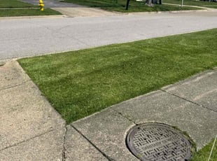 Aaron C.'s lawn service service result