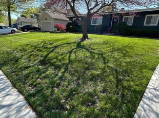 Leslie R.'s lawn service service result