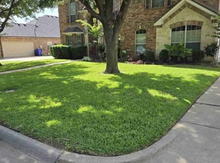 Briana W.'s lawn care services service result