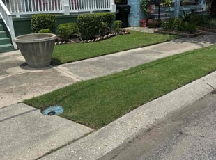 Andrew A.'s lawn maintenance service result