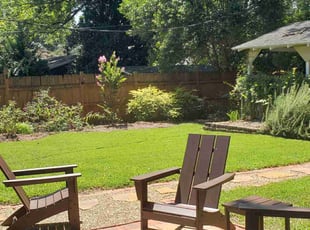 Dee N.'s turf care service result