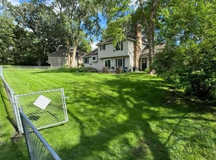 Josh M.'s grass cutting service result