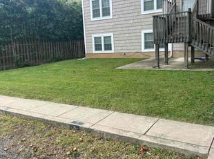 Howard S.'s grass maintenance service result