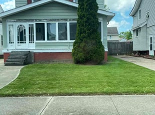 Chris R.'s grass cutting service result