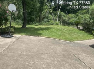 Colleen B.'s lawn care service result