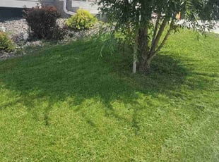 Jamie U.'s lawn maintenance service result
