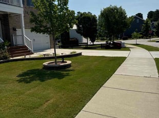Erik B.'s lawn service service result
