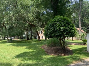 Rodney S.'s turf maintenance service result