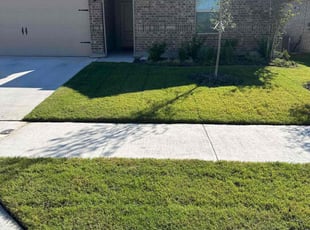 Cheryl P.'s lawn care services service result