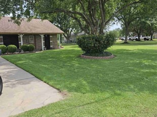 Barbara J.'s turf care service result