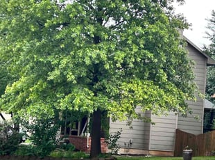 Nancy S.'s gardening service service result