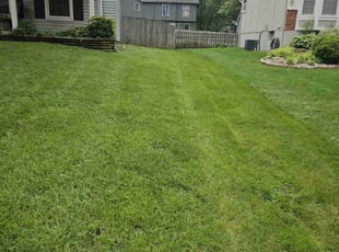 Eugene B.'s lawn service service result