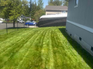 Fahim A.'s grass cutting service result