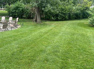 Regeesh B.'s turf care service result