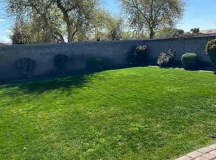 Dina F.'s Weeding service result