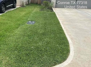 Robert K.'s turf care service result