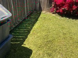Barbara S.'s lawn care services service result
