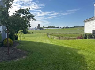 Dave A.'s lawn service service result