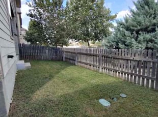 Christopher J.'s lawn care service result