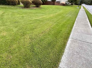 Kiwana J.'s grass maintenance service result