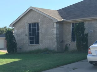 Michelle P.'s Bush Trimming service result