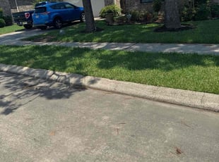 Debra J.'s grass maintenance service result