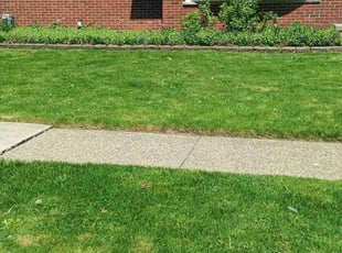 John P.'s grass cutting service result