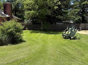 James B.'s lawn care service result