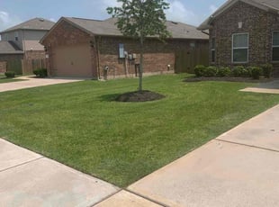 Susie P.'s lawn maintenance service result