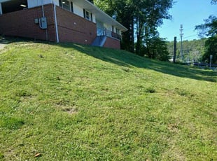Dante B.'s Flower Bed Weeding service result