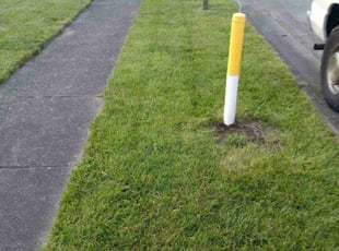 Joe D.'s lawn care service result
