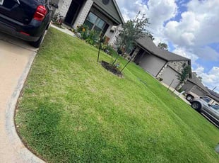 Karan S.'s lawn service service result