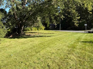 Mikki M.'s lawn care services service result