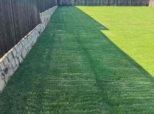 Nicole A.'s lawn care service result