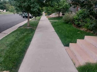 David S.'s lawn service service result